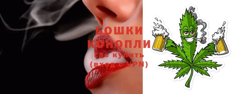 что такое   Новозыбков  Шишки марихуана OG Kush 